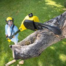 Best Lawn Watering Services  in Melville, NY